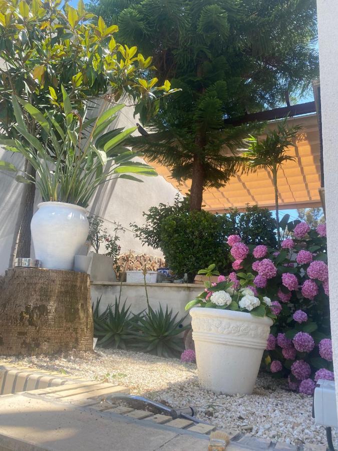 Casa Los Encinares قرطبة المظهر الخارجي الصورة