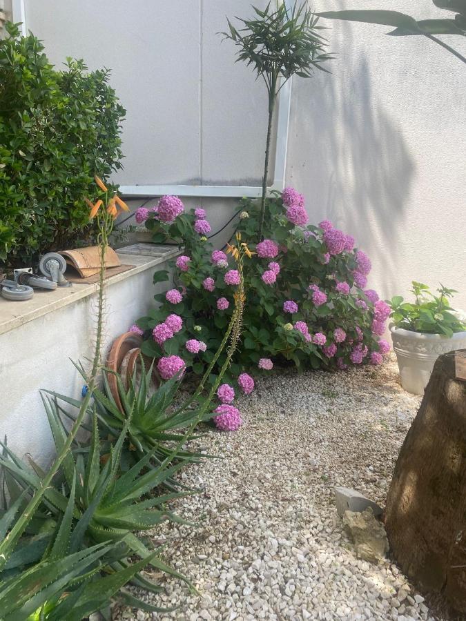 Casa Los Encinares قرطبة المظهر الخارجي الصورة